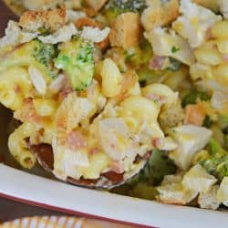 A close up of Broccoli and chicken casserole