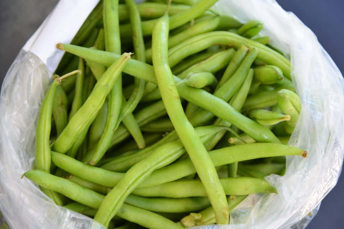 fresh green beans in a bag 