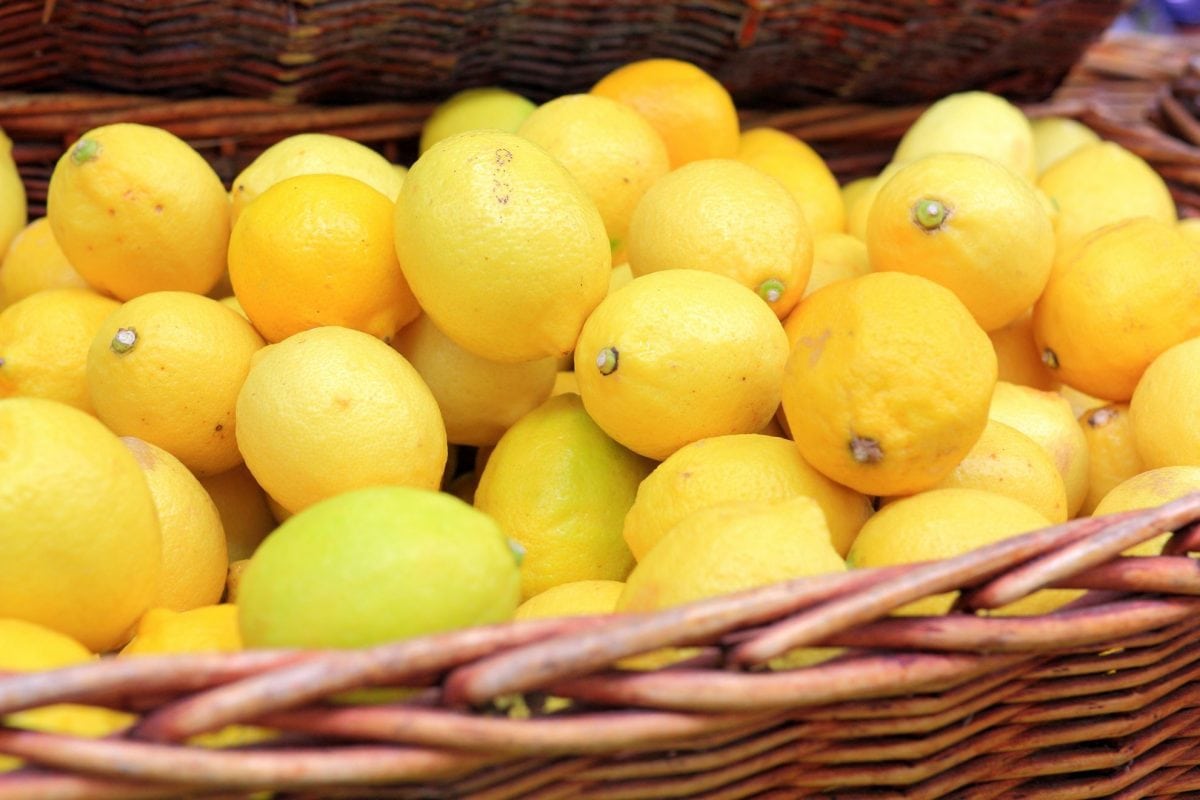 basket of fresh lemons 