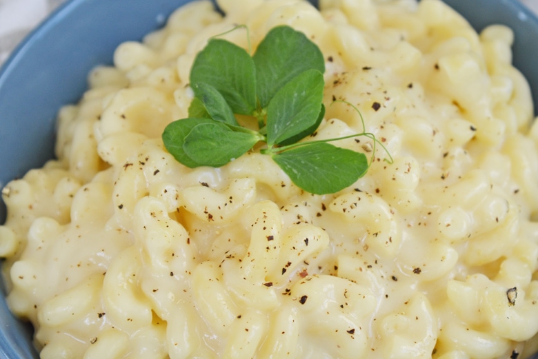 close up of truffle mac and cheese with gouda and cheddar 