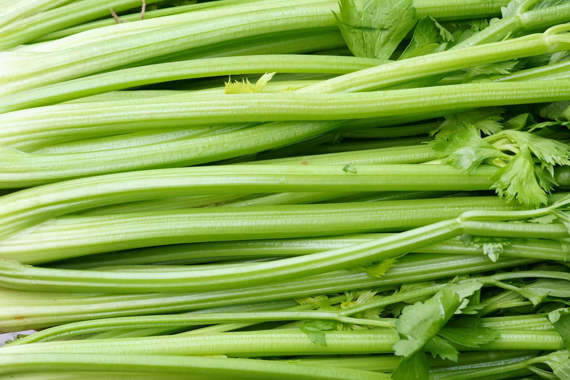 stalks of celery 