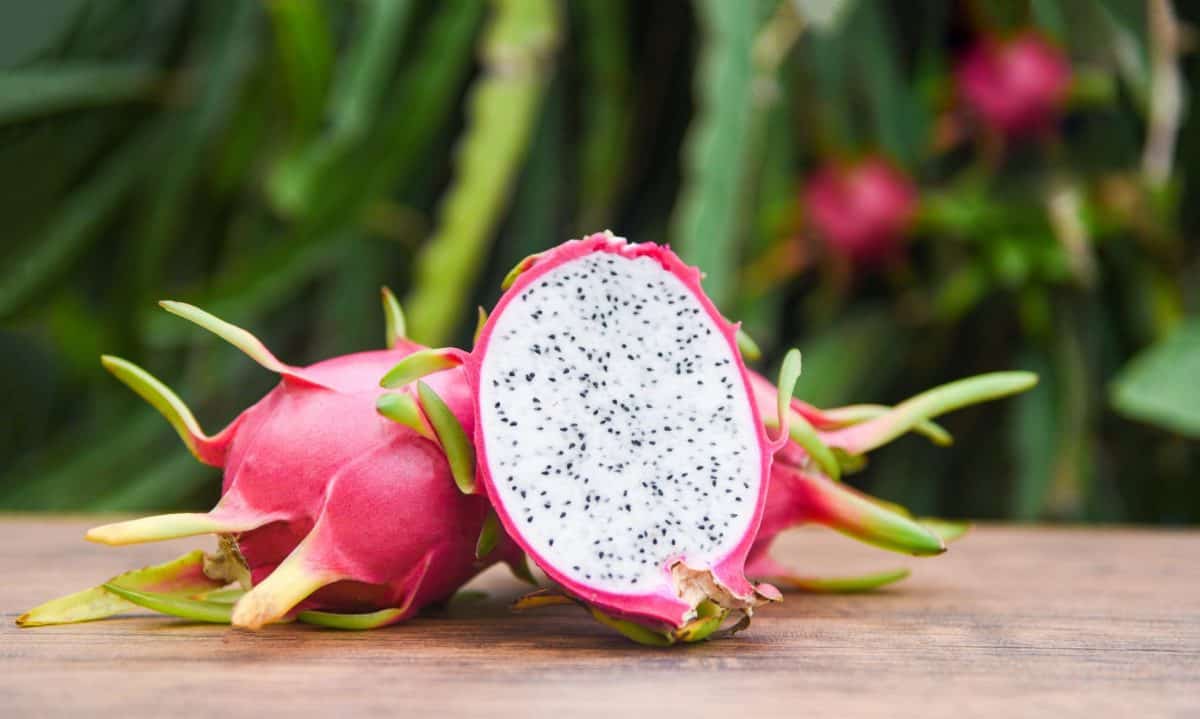 Pitaya 101! How to Cut and Eat Dragon Fruit