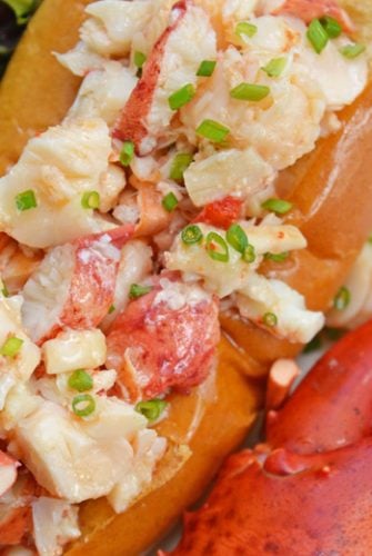 overhead of hot lobster roll