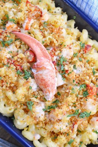 overhead of lobster mac and cheese with large piece of lobster meat on top