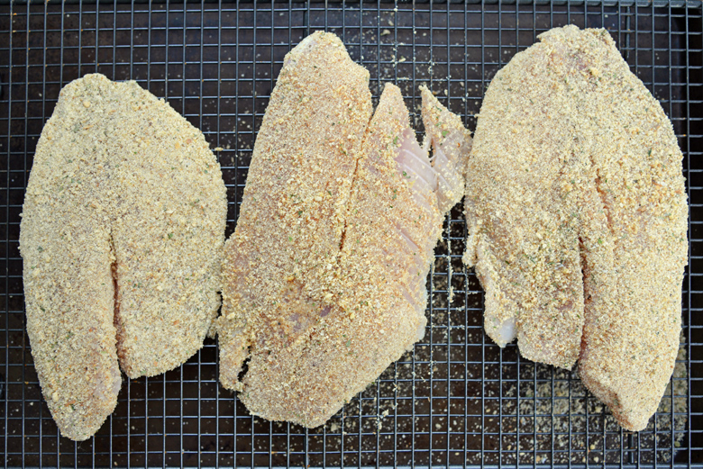 uncooked tilapia filets with parmesan breading 