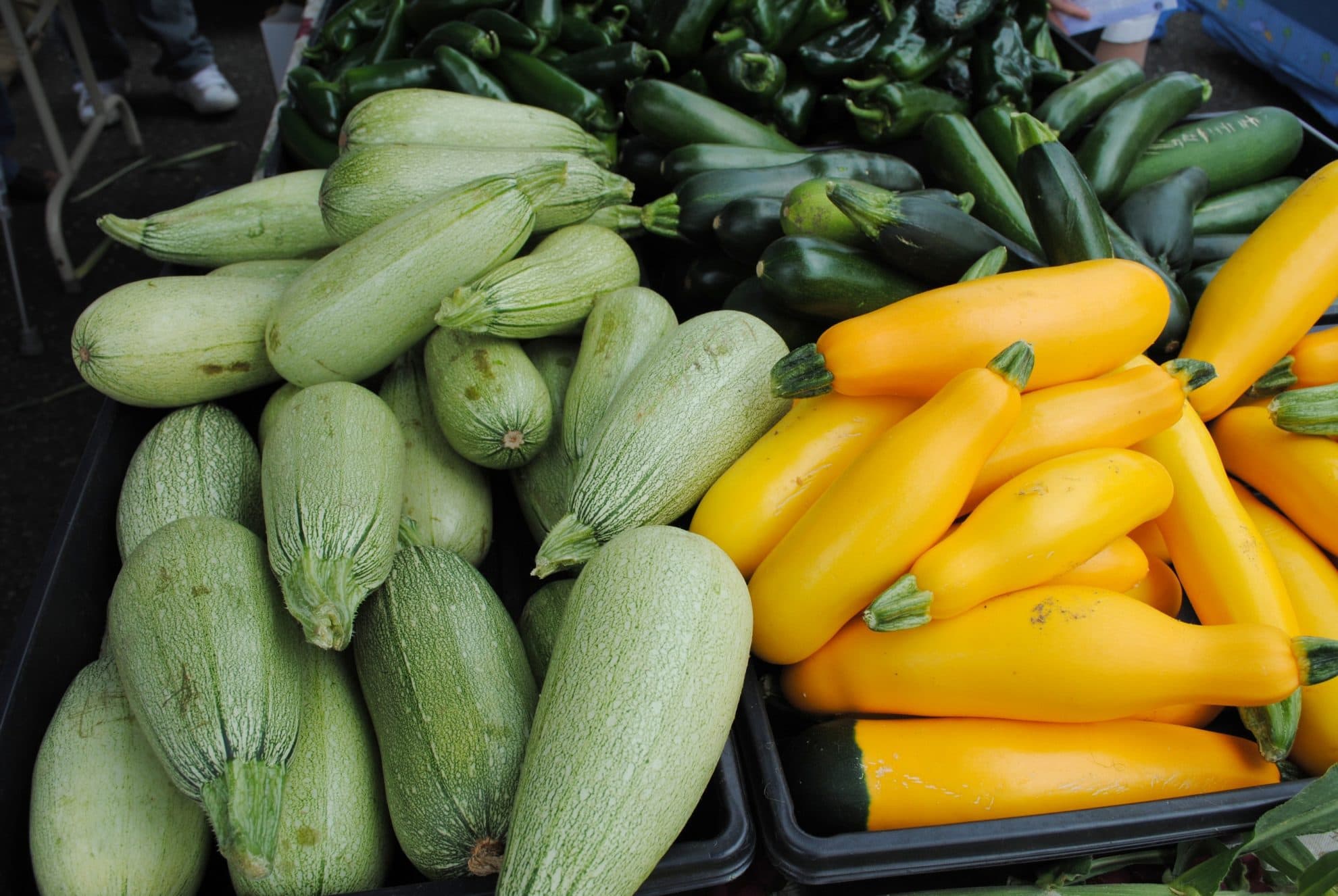 squash at the farmers market