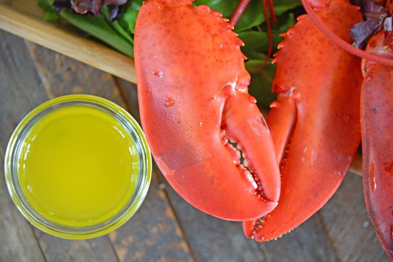 steamed lobster claws with clarified butter 