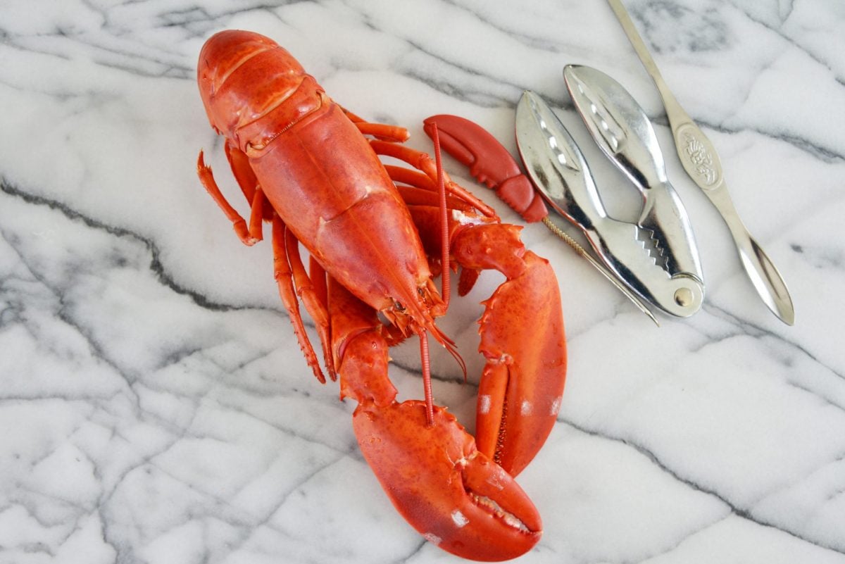 whole lobster on white marble slab