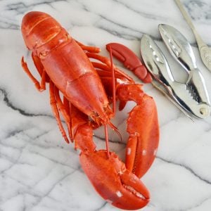 whole steamed lobster on white marble background