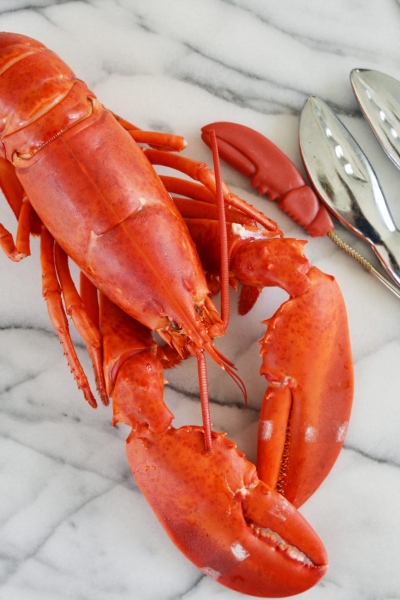 whole lobster with lobster tools on a marble slab