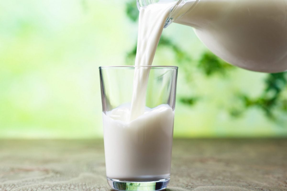 A close up of a glass of milk