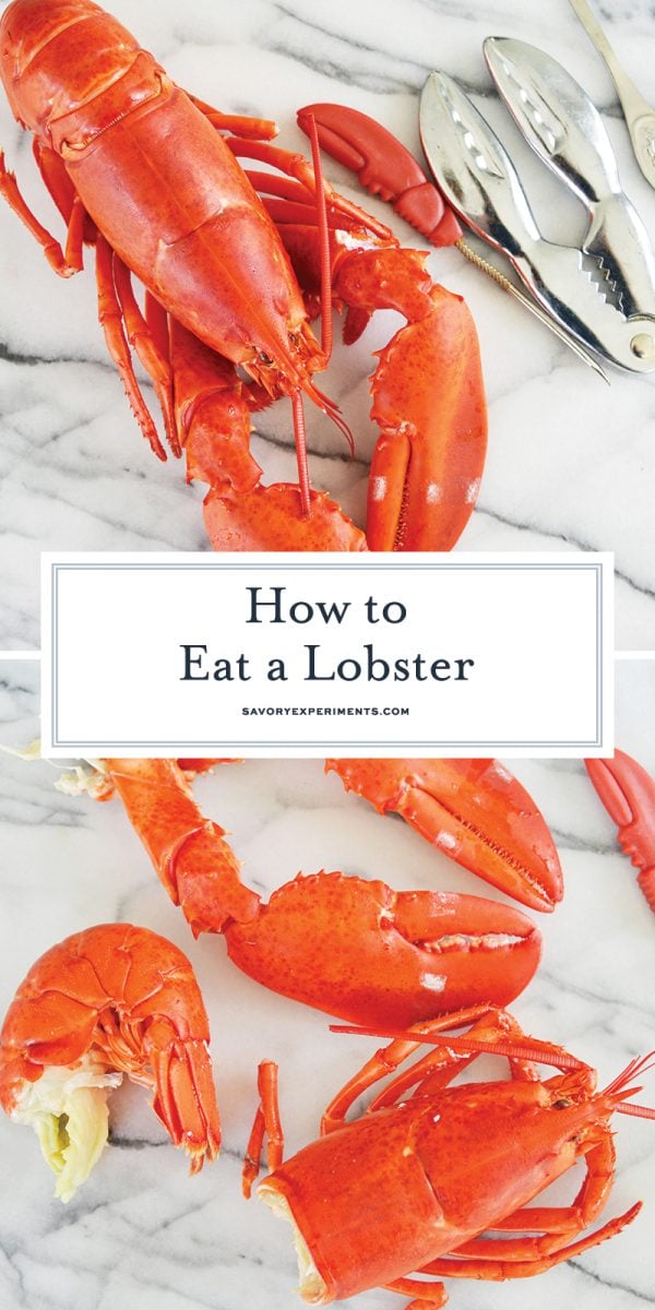 how to eat a lobster for pinterest 