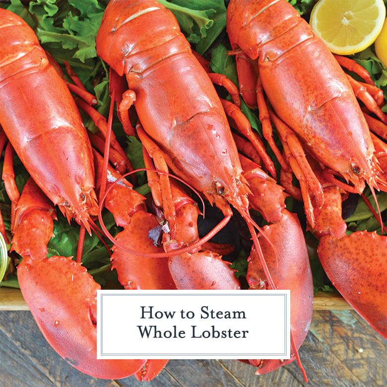 How to Steam a Whole Lobster + How to Eat It Too!