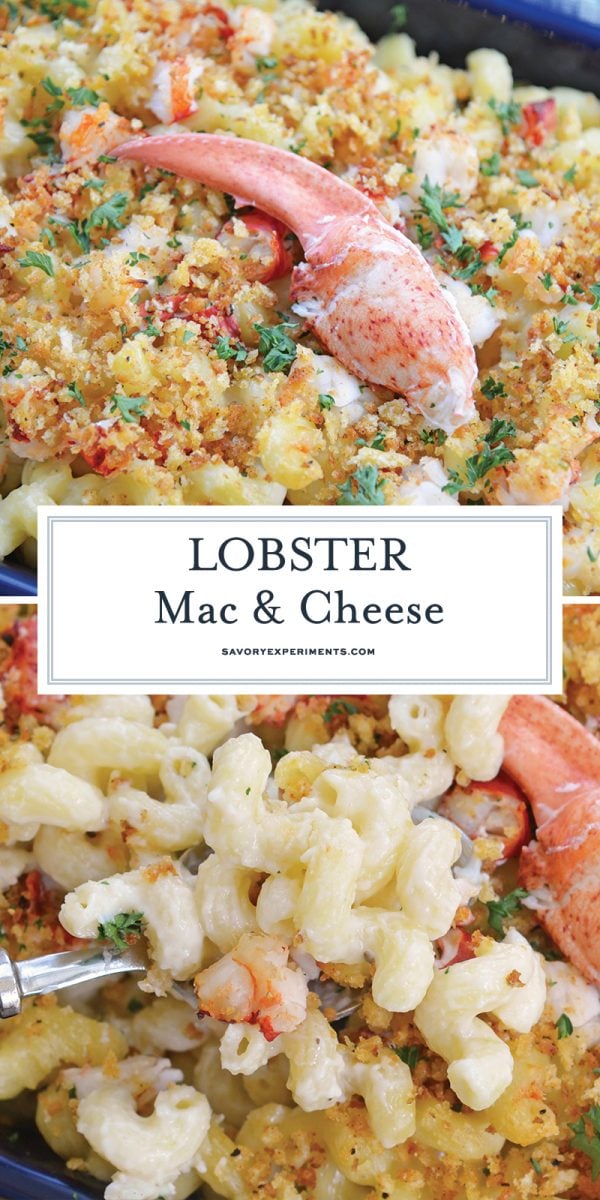 lobster mac and cheese for pinterest