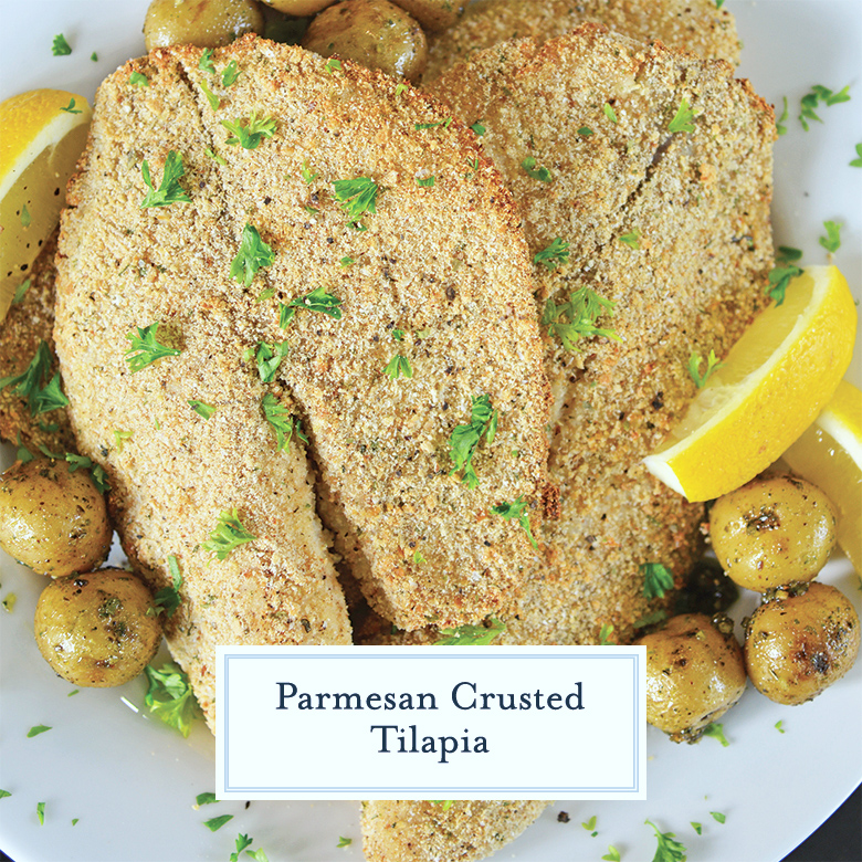 close up of parmesan crusted tilapia with lemon and baby potatoes 