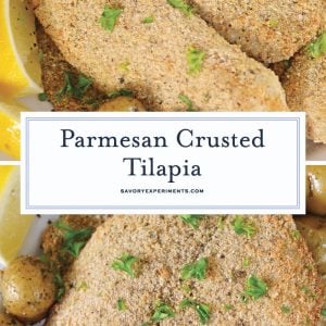 parmesan crusted tilapia for pinterest