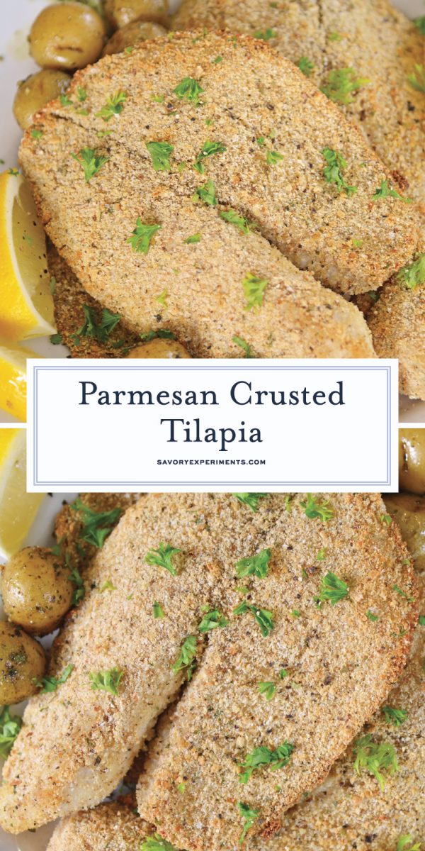 parmesan crusted tilapia for pinterest 