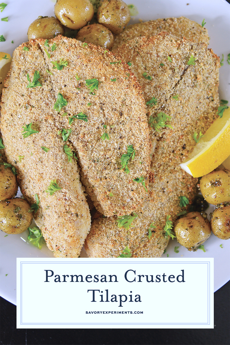 parmesan crusted tilapia close up 