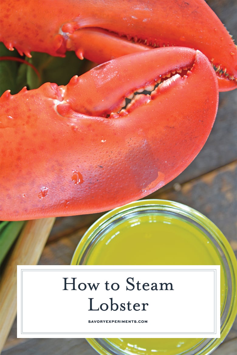how to steam a lobster for pinterest 