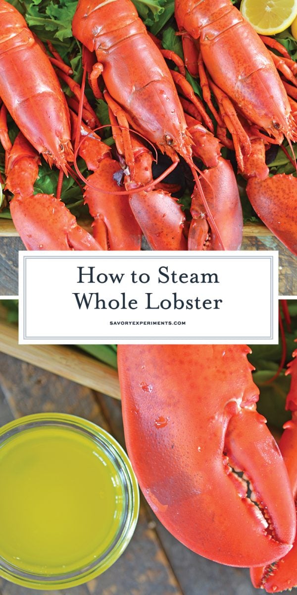 steamed lobsters for pinterest 