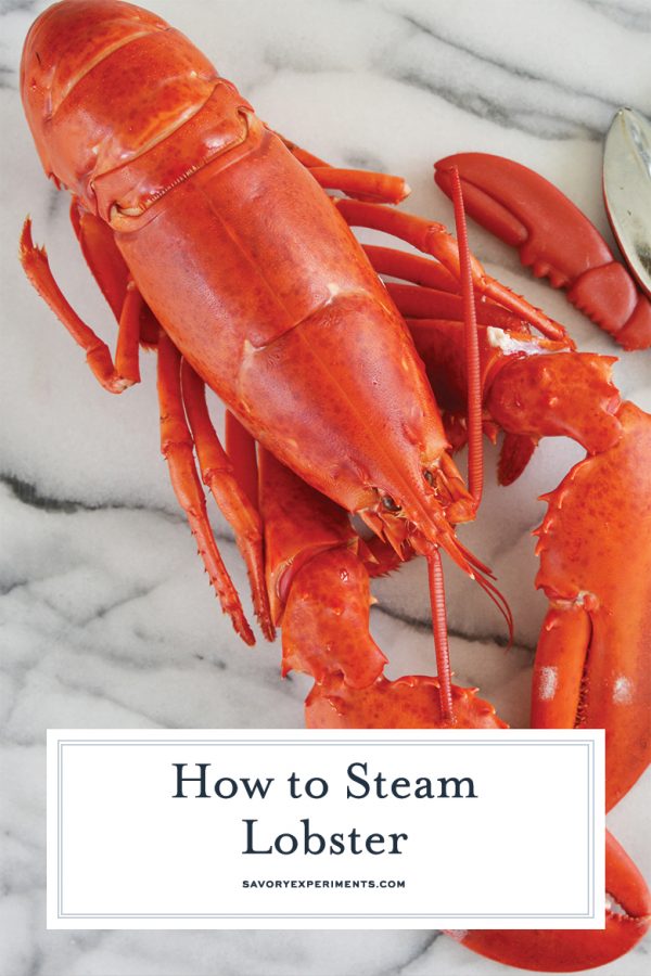 How to Steam a Whole Lobster + How to Eat It Too!