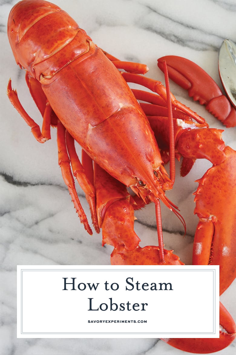 close up of steamed lobster for pinterest  