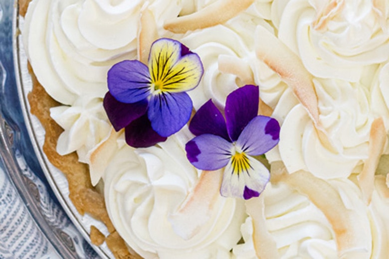 pansies on a pie 