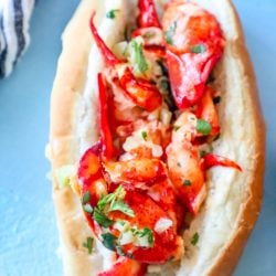 overhead shot of plate of lobster roll