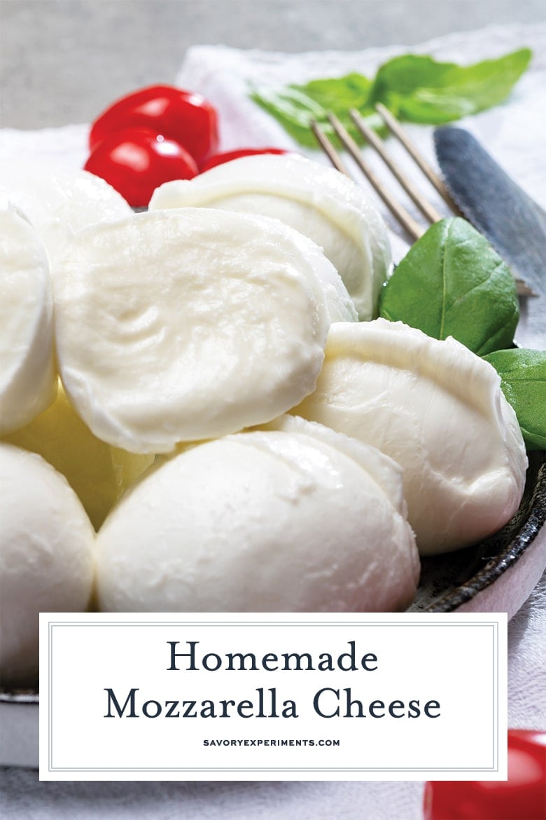 fresh homemade mozzarella cheese 