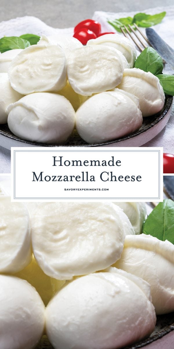 homemade mozzarella for pinterest 