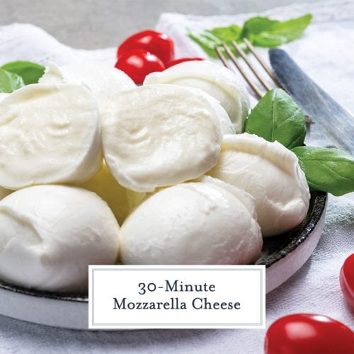 Homemade Mozzarella Cheese It's Just That Easy!