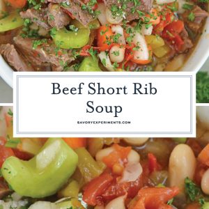 beef short rib soup for pinterest