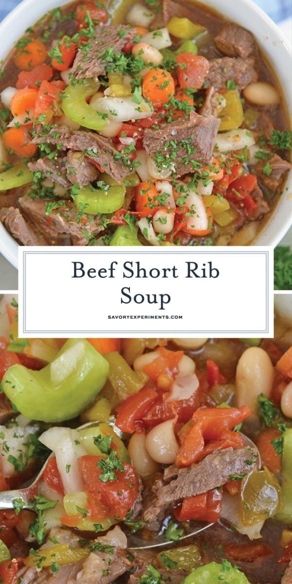 short rib soup for pinterest 