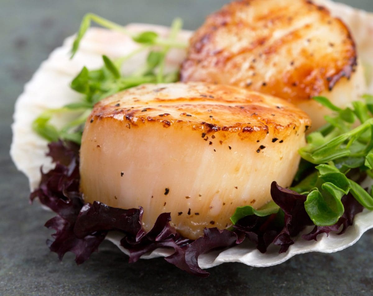 How to pan sear a scallop