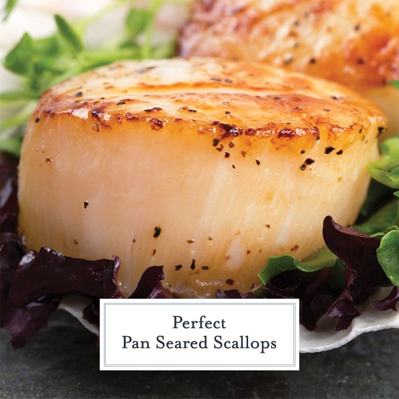 side view of a seasoned and seared scallop