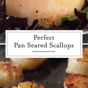 scallop recipe for pinterest