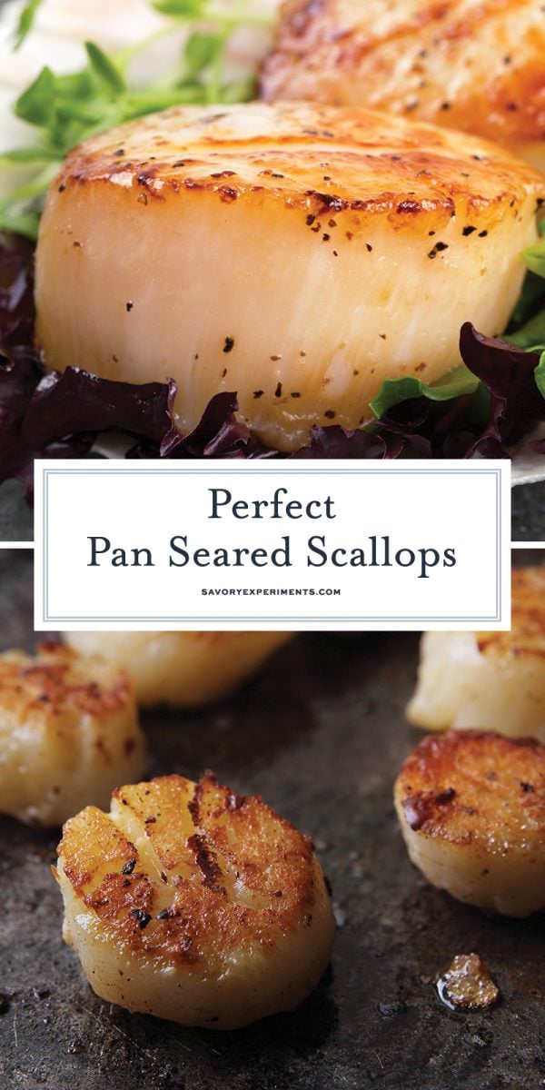 how to cook scallops for pinterest 