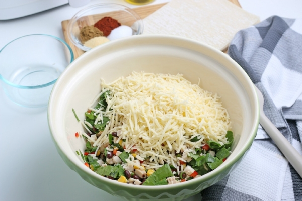 southwest egg roll filling