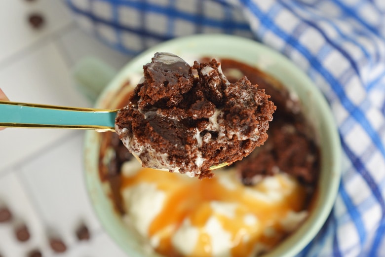 Mug Brownie Fudgy Brownie in a Mug in 5 Minutes!