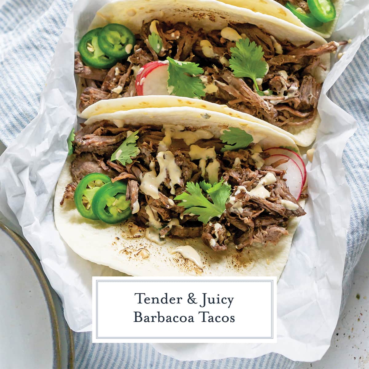 overhead of barbacoa tacos with toppings