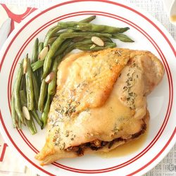 overhead turkey breast on a plate