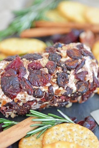 cranberry goat cheese roll with rosemary and crackers
