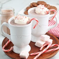 two white mugs of hot chocolate