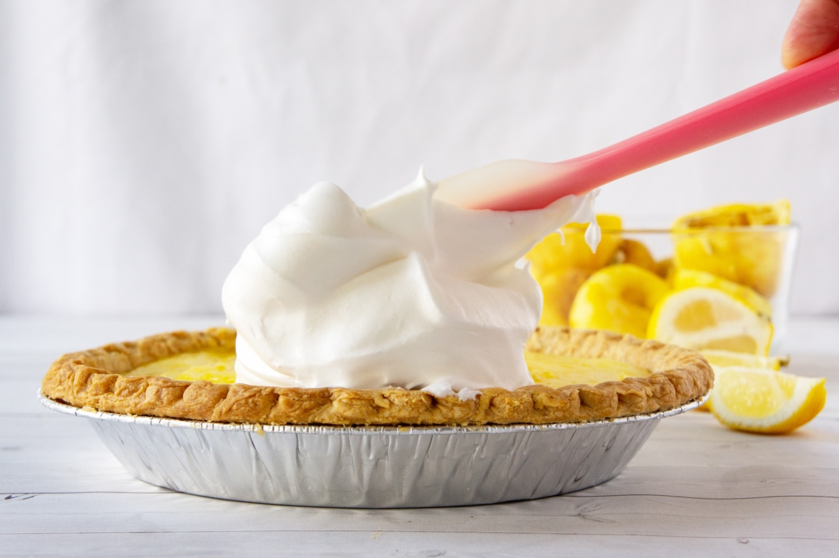 Durable spackle spatula For Perfectly Formed Pies 