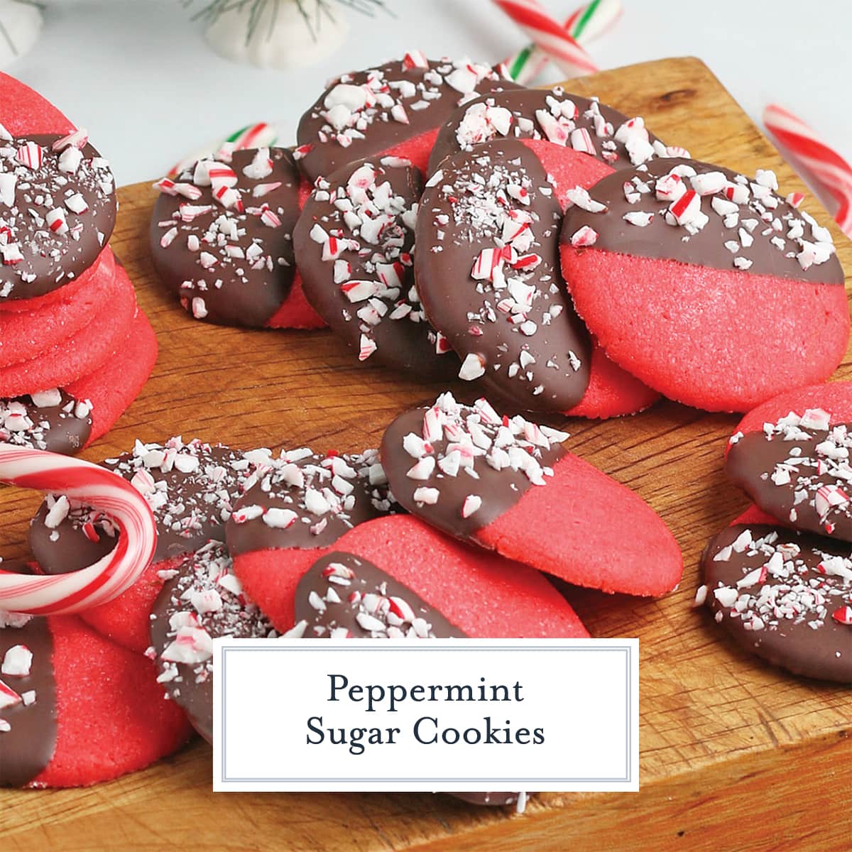 peppermint sugar cookies dipped in chocolate with candy canes 