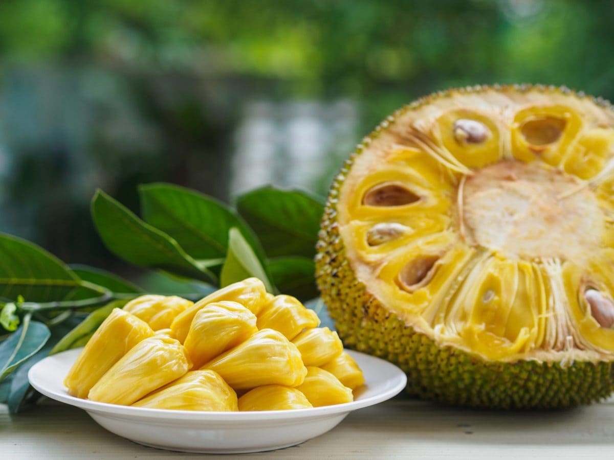 straight on shot of jackfruit on plate