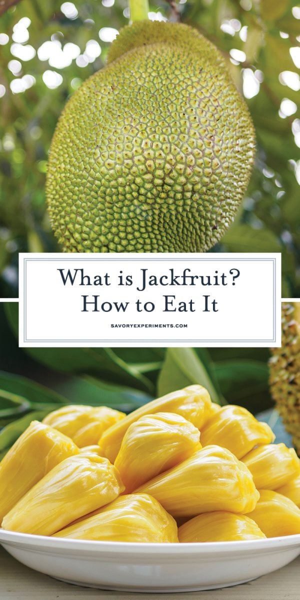 collage of jackfruit for pinterest