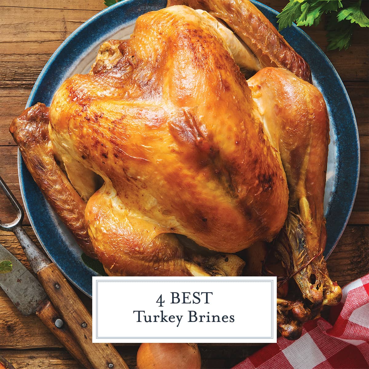 overhead of browned, juicy brined turkey 