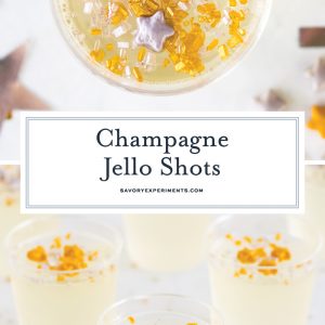 champagne jello shots for pinterest