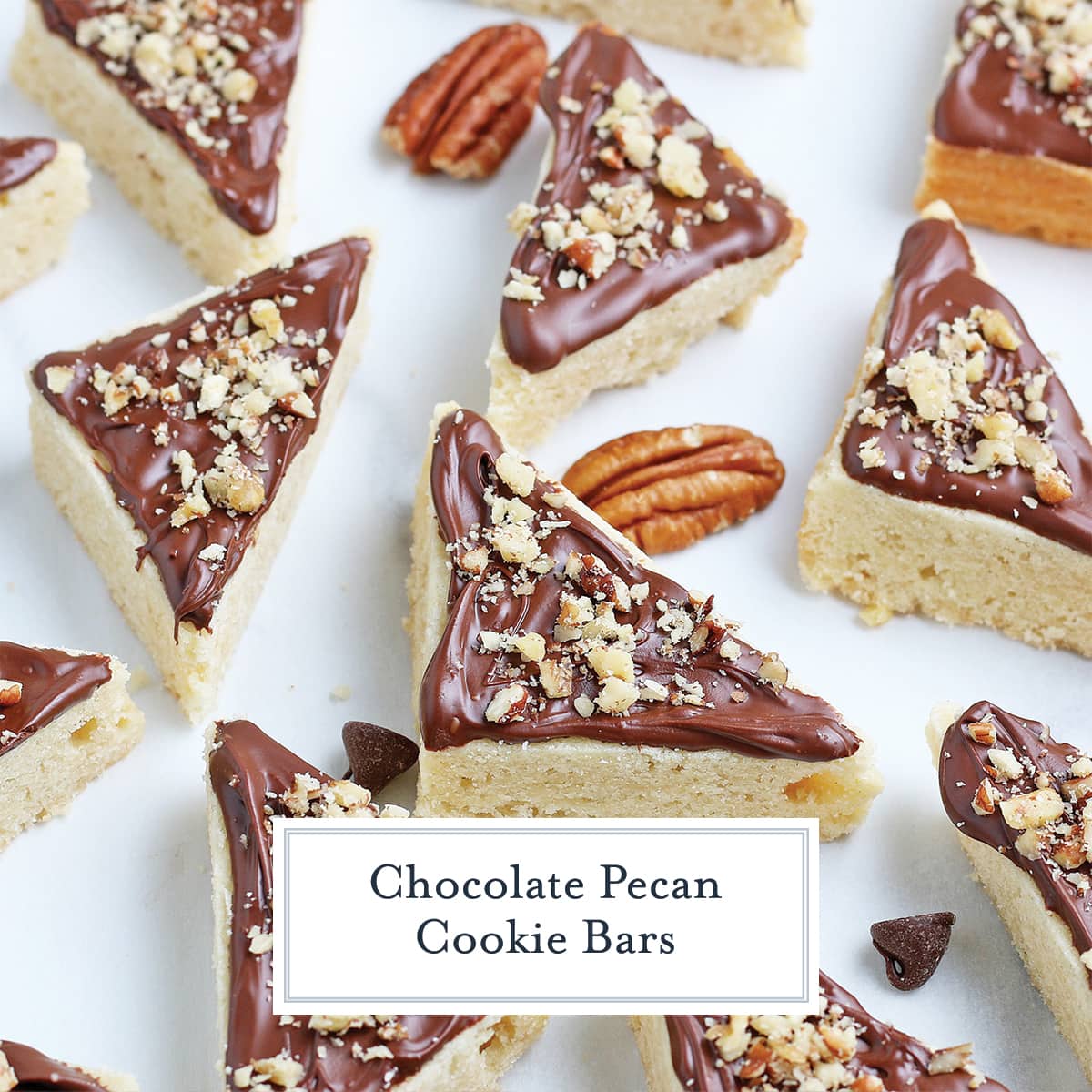 chocolate frosted sugar cookie bars with chopped pecans 